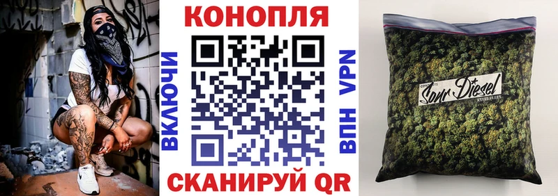 Бошки марихуана THC 21%  как найти закладки  ОМГ ОМГ как войти  Медвежьегорск 